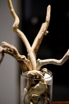 gkeea boutique hotel