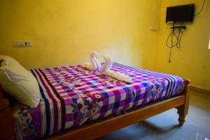 the coloursinn home stays