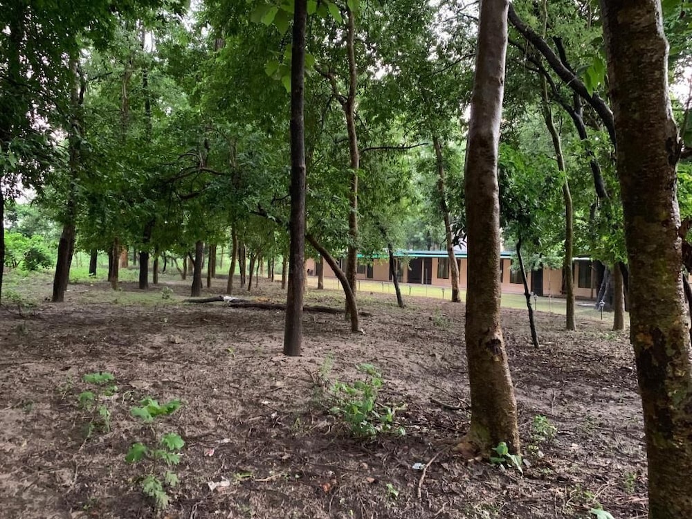 ganga yog retreat by yog gurukul