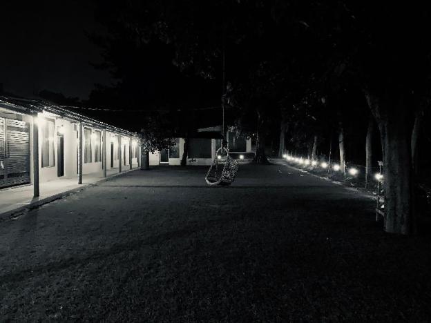 ganga yog retreat by yog gurukul
