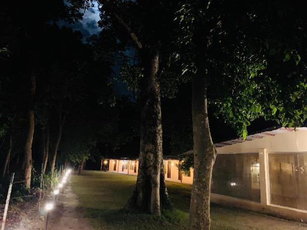 ganga yog retreat by yog gurukul