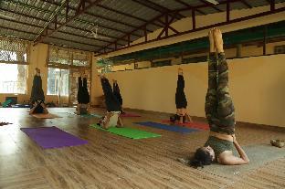 ganga yog retreat by yog gurukul