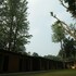 ganga yog retreat by yog gurukul