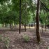 ganga yog retreat by yog gurukul