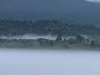 ganga yog retreat by yog gurukul