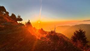 genx the gateway dalhousie