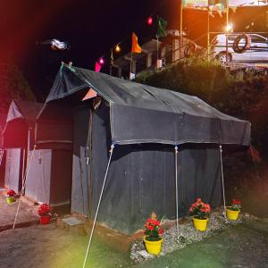 genx the gateway dalhousie