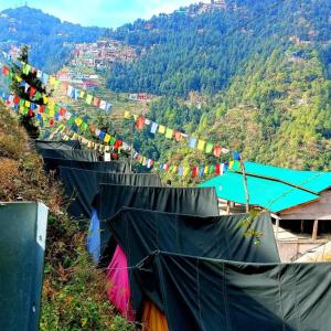 genx the gateway dalhousie