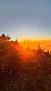 genx the gateway dalhousie