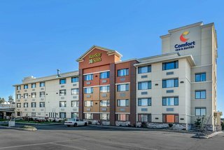 coeur dalene