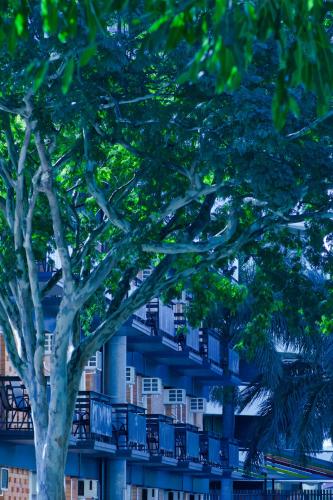 soho brisbane