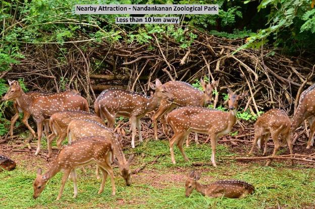 hotel o avigna residency