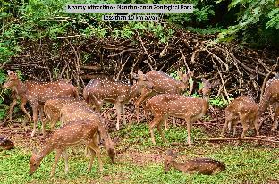 hotel o avigna residency