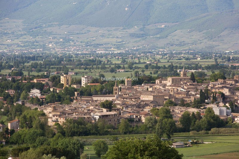 hotel palazzo brunamonti