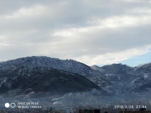 big bell guest house