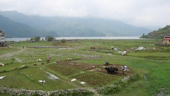 tranquil water guest house pokhara