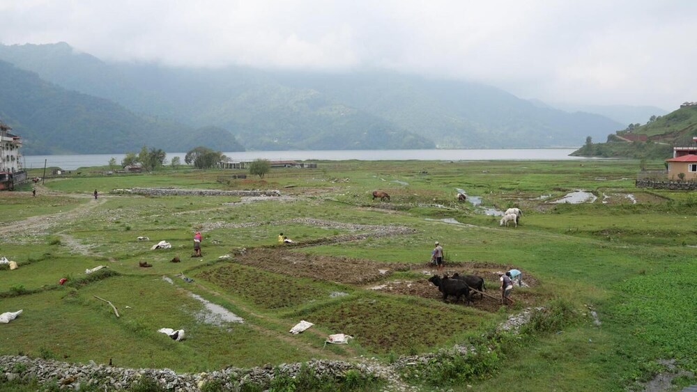 tranquil water guest house pokhara