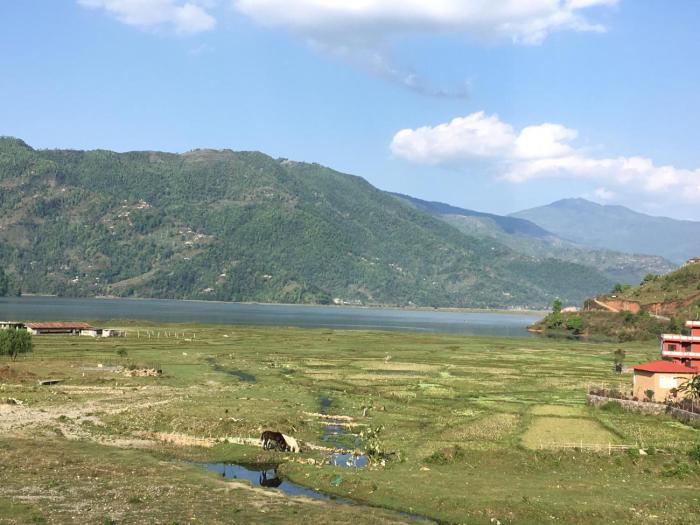 tranquil water guest house pokhara