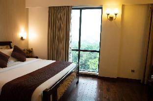 the midori by lakeshore