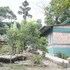 pumpkin streamside guest house