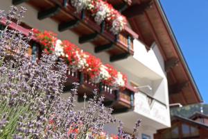 sankt anton am arlberg