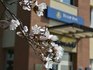 tulip inn turin west