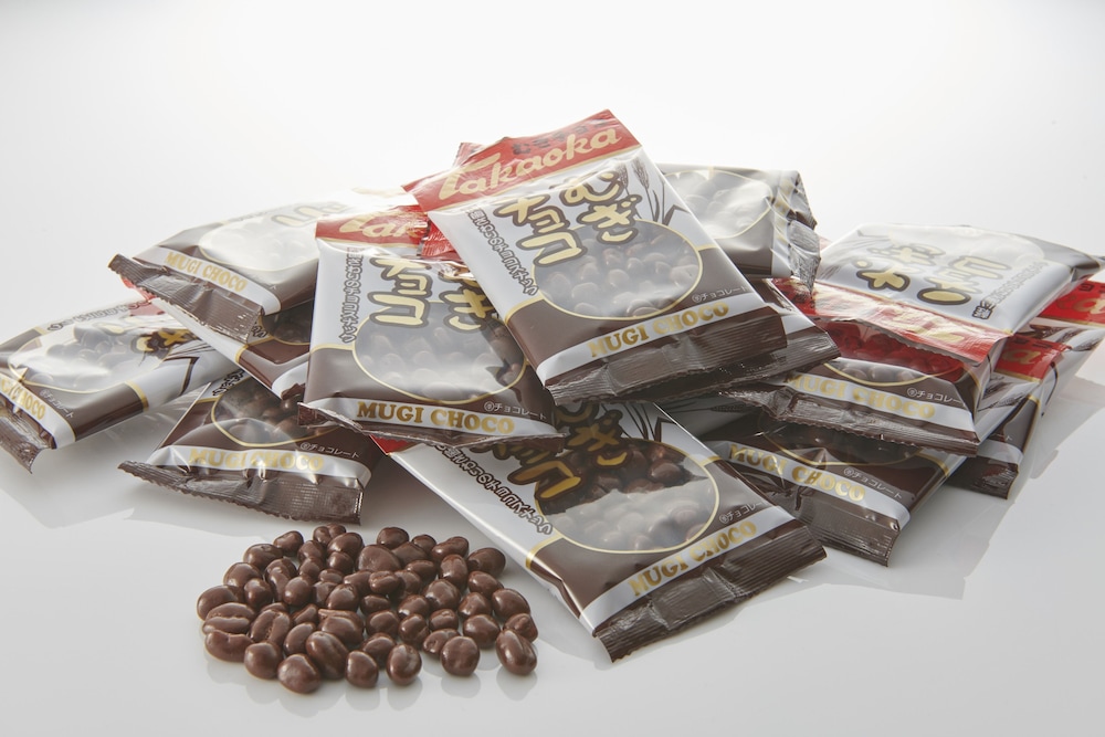 hotel vischio amagasaki