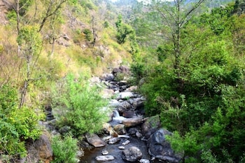 Nainital River Camp,Kosya Kutauli,2 star