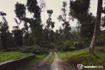 coorg