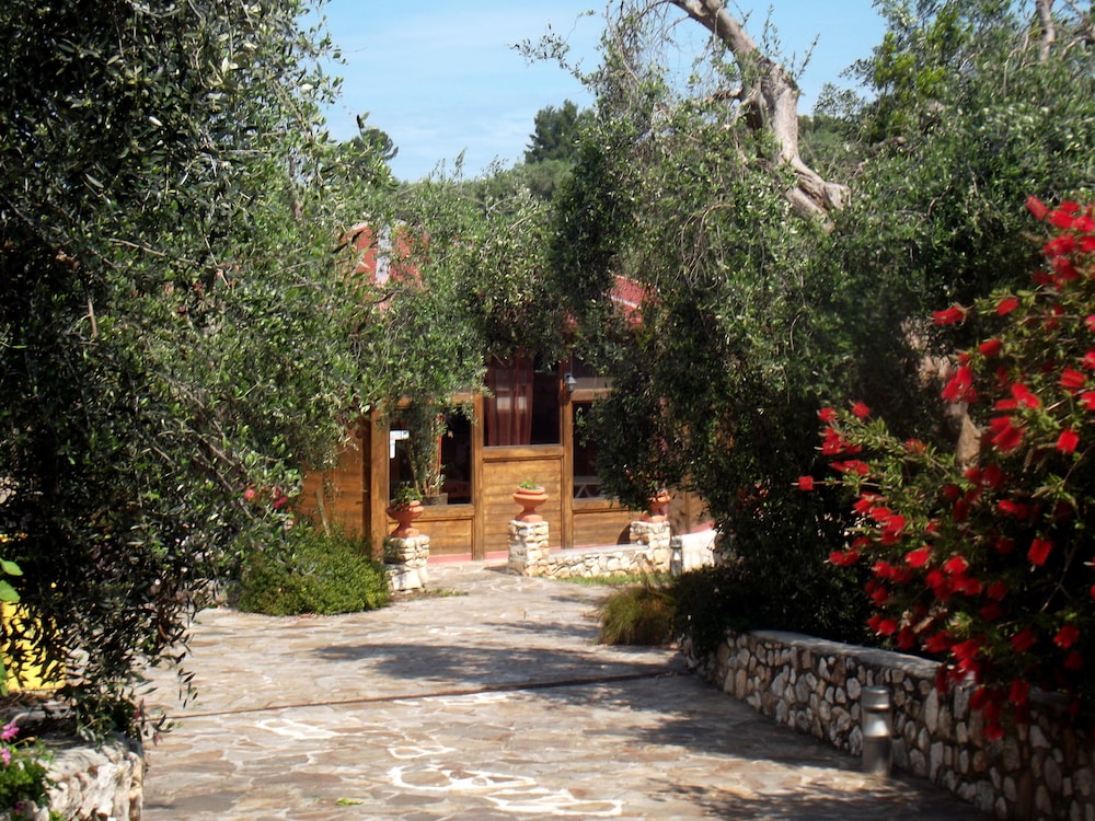 poggio degli ulivi