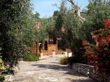 poggio degli ulivi