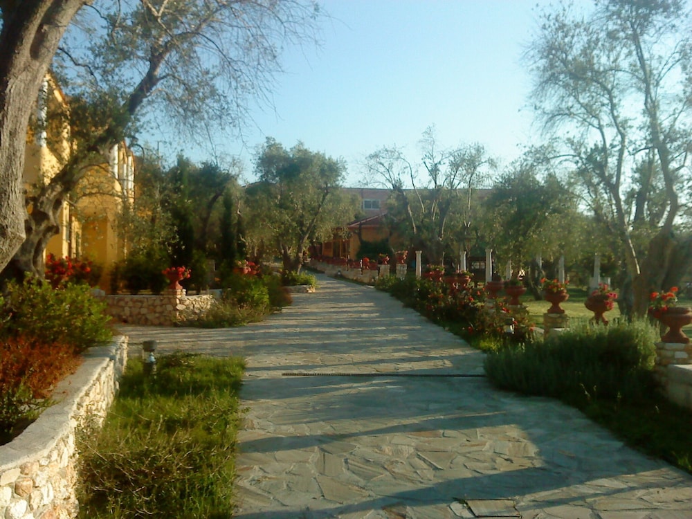 poggio degli ulivi