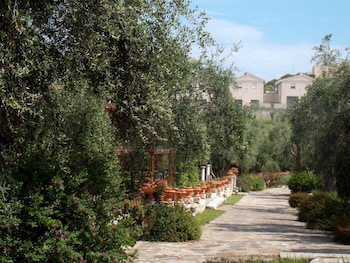 poggio degli ulivi