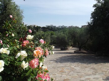 poggio degli ulivi