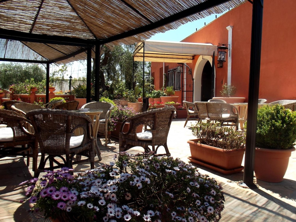 poggio degli ulivi