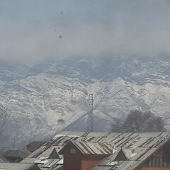 srinagar