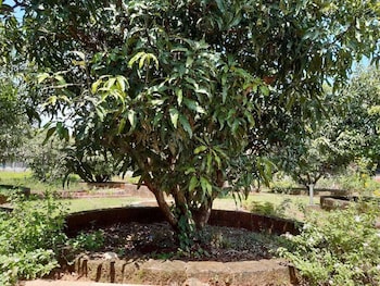 devgad