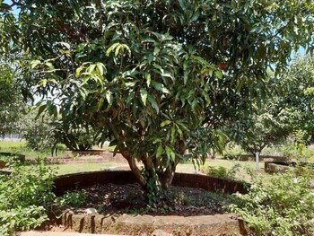 devgad