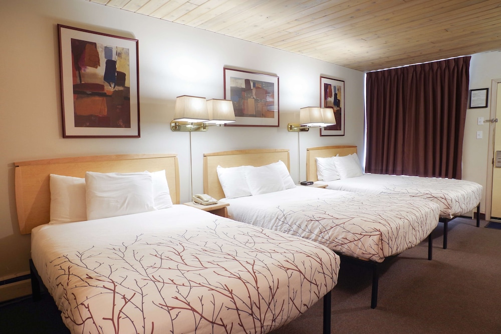 canadas best value inn and suites fernie