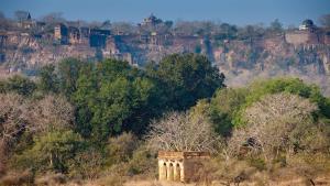 sawai madhopur