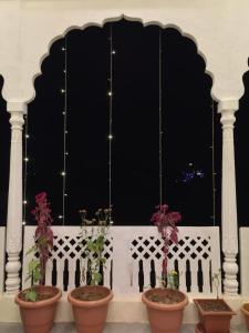 sawai madhopur