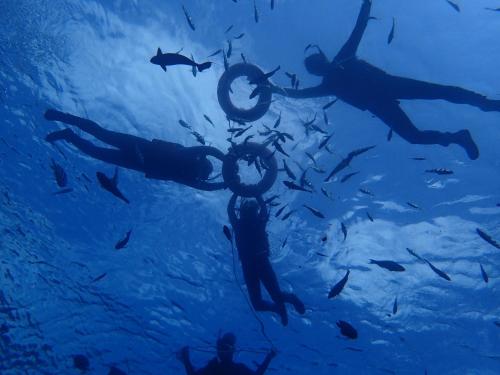 good viewing spot bandb