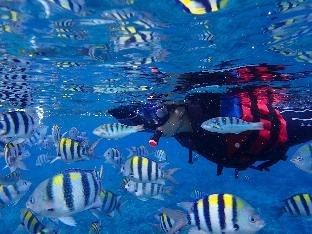 good viewing spot bandb