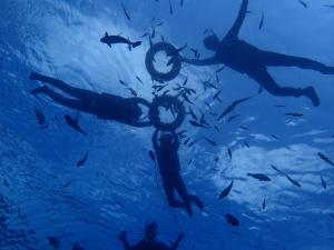 good viewing spot bandb