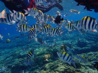 good viewing spot bandb