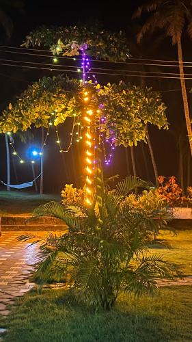 royal kazbay beach resort