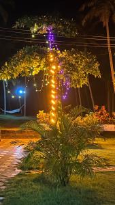 royal kazbay beach resort