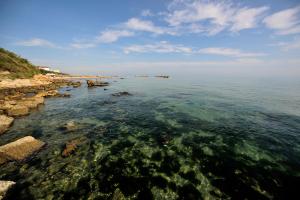 Hotel Mara,Alba Adriatica>>Abruzzo,4 star