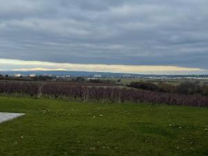 weingut bugner meizelhof