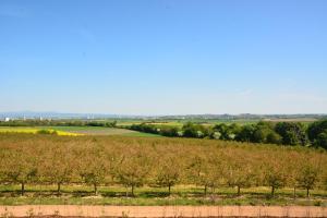weingut bugner meizelhof
